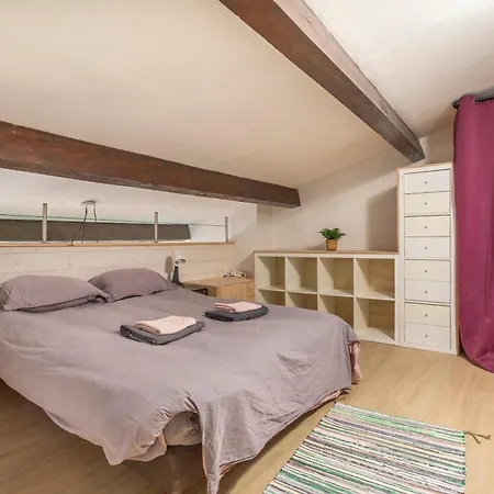 Apartment Magnifique Renove